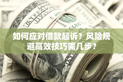 济南如何应对借款起诉？风险规避高效技巧需几步？