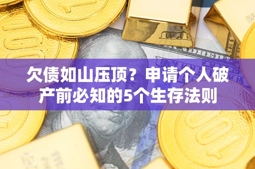 济南欠债如山压顶？申请个人破产前必知的5个生存法则