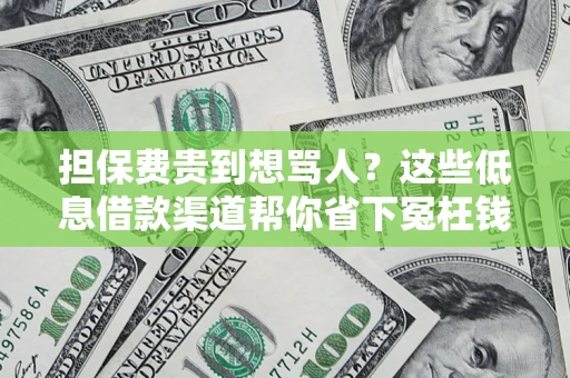 济南担保费贵到想骂人?这些低息借款渠道帮你省下冤枉钱 济南担保费贵到想骂人?这些低息借款渠道帮你省下冤枉钱