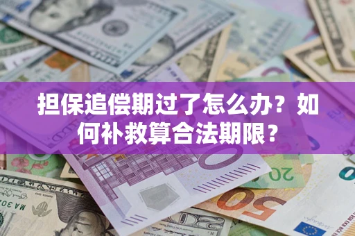 济南担保追偿期过了怎么办？如何补救算合法期限？