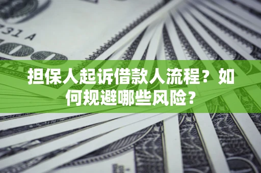 济南担保人起诉借款人流程？如何规避哪些风险？