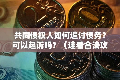 济南共同债权人如何追讨债务？可以起诉吗？（速看合法攻略）